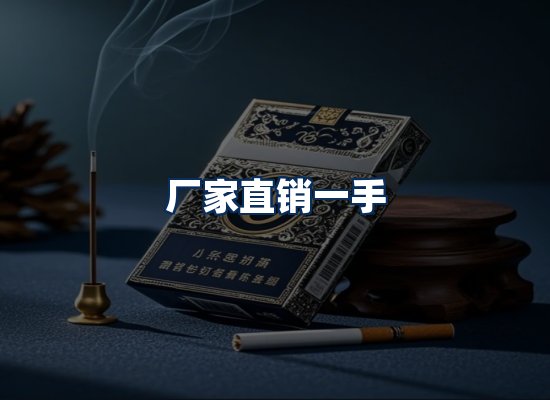 专业团队办公环境